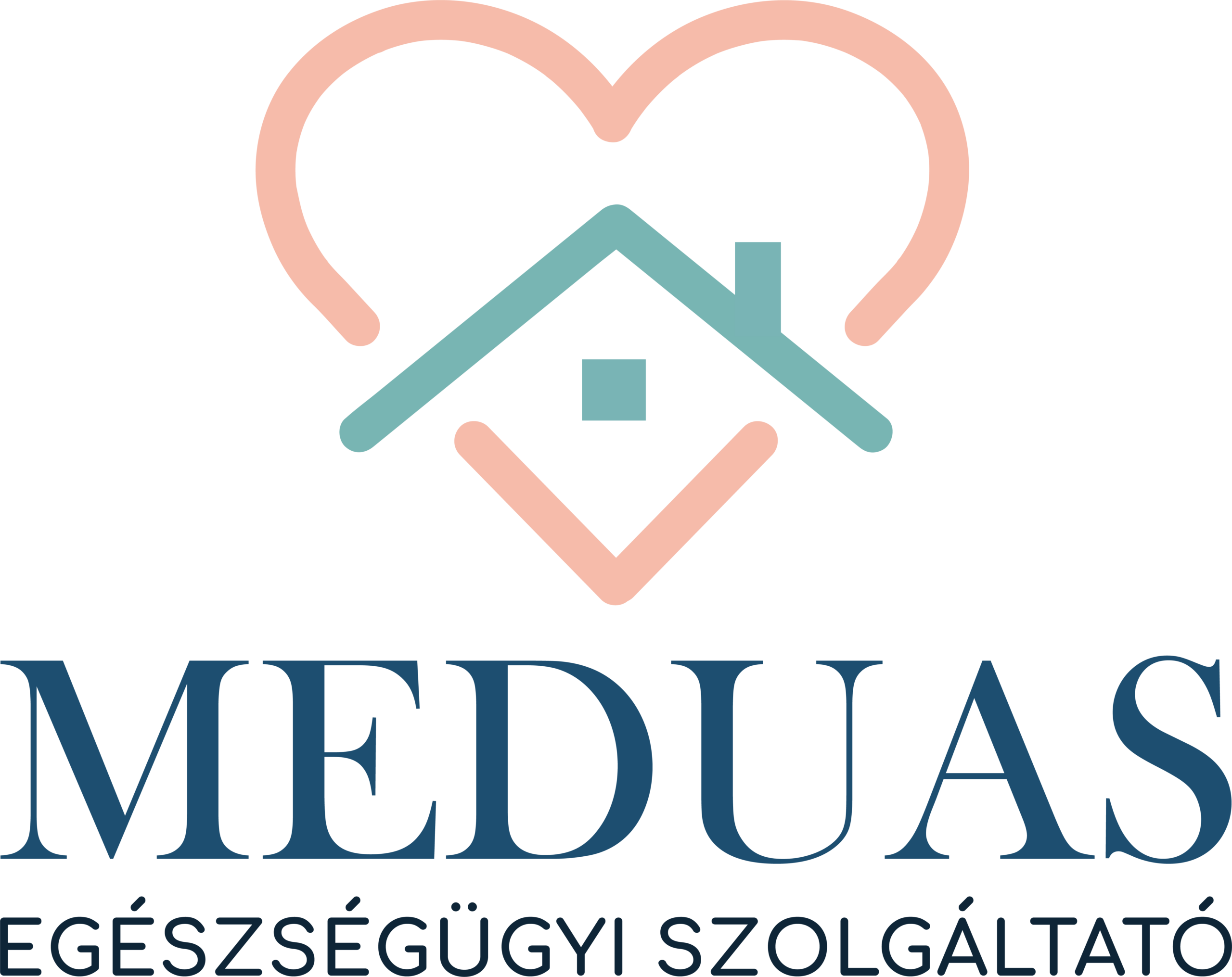 MEDUAS_logo